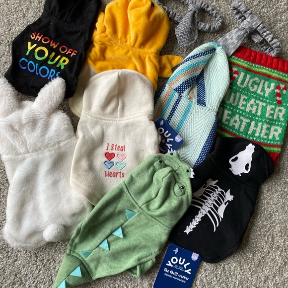 Guinea Pig/Small Animal Clothes Outfit Bundle! Could use for Kittens and Puppies - Picture 3 of 15